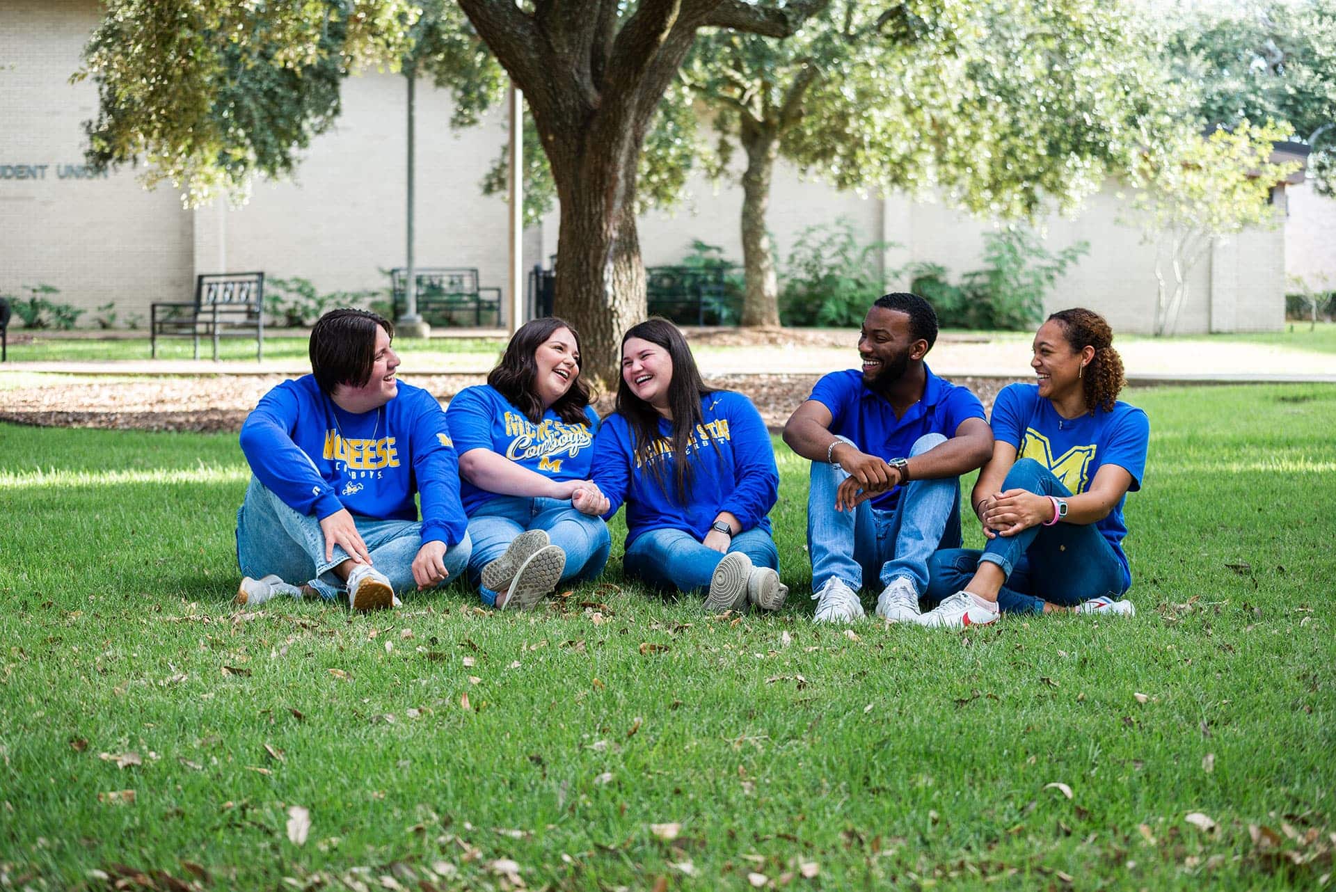 Group of friends in blue shirts sitting on grass, laughing under a tree on a sunny day.