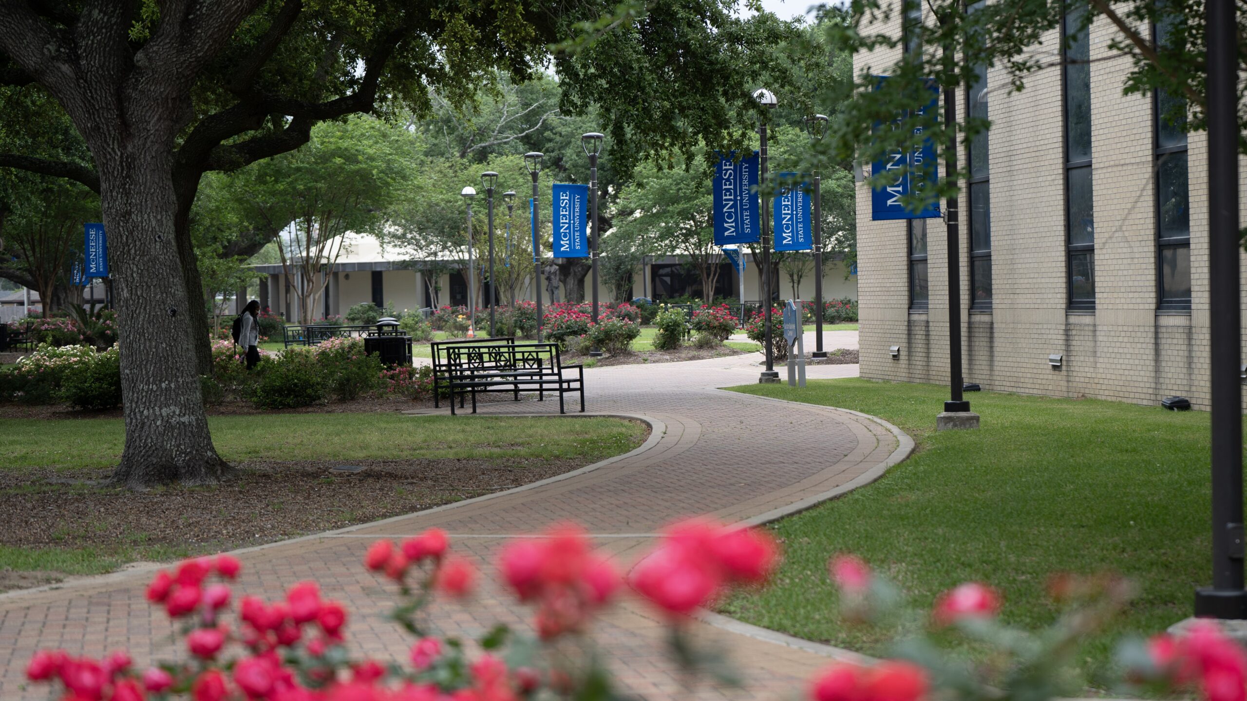 McNeese Honors College Hosts Open House 