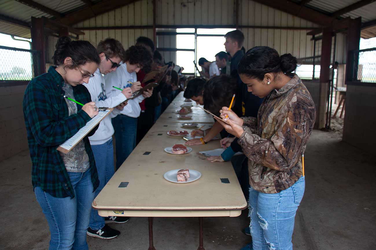 McNeese Hosts FFA Career Development Event