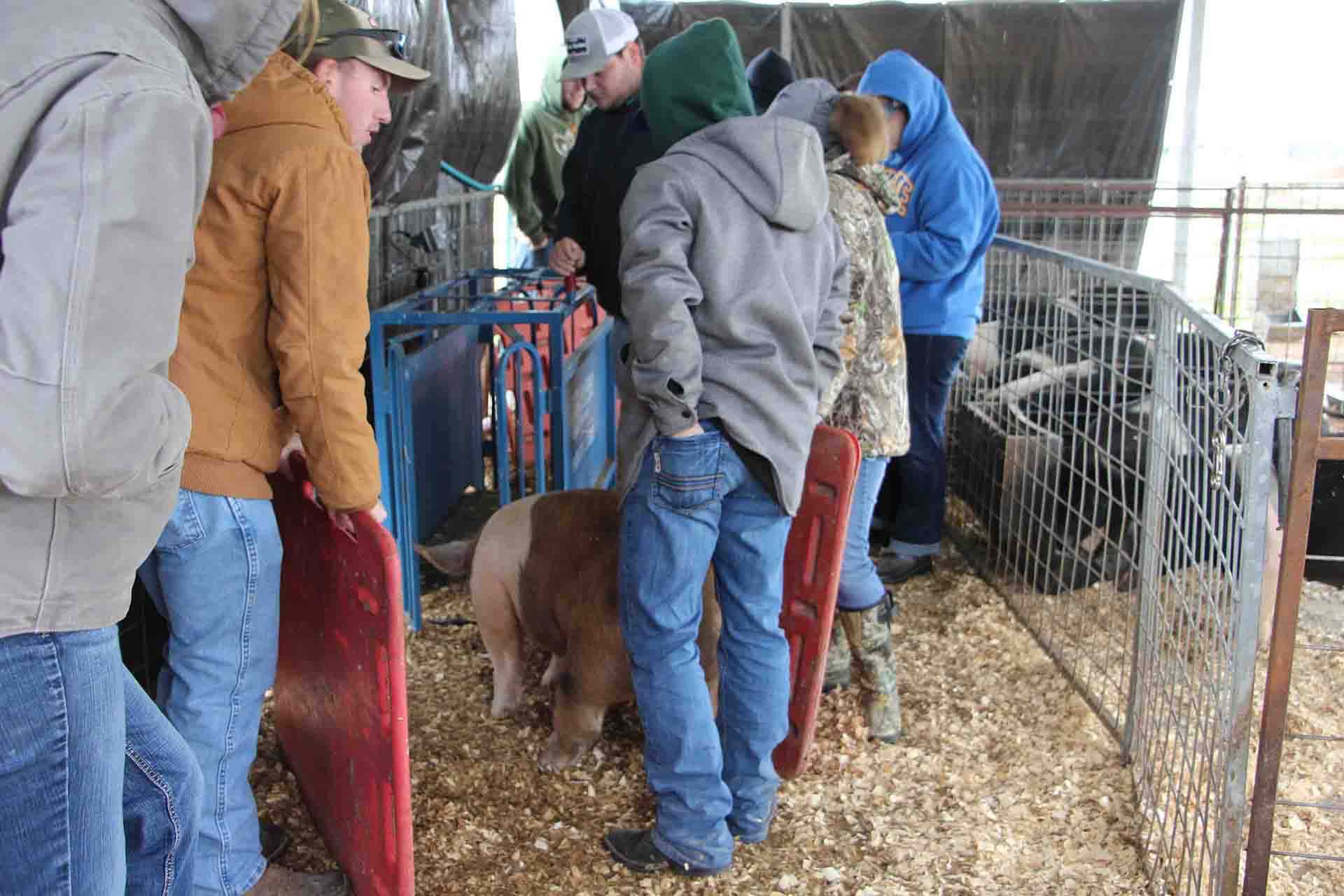 Agricultural Sciences Students Learn Hands-On