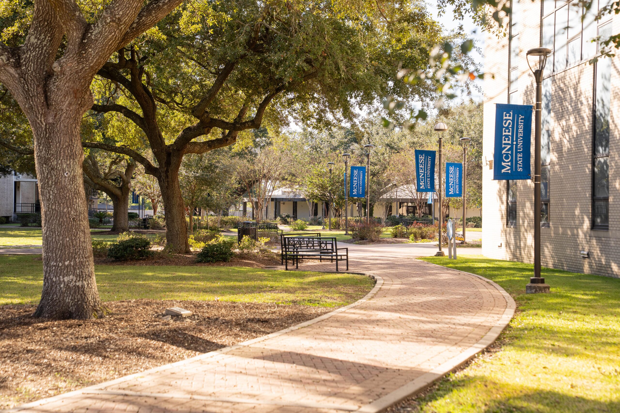 McNeese’s Statement on the Leadership Change 
