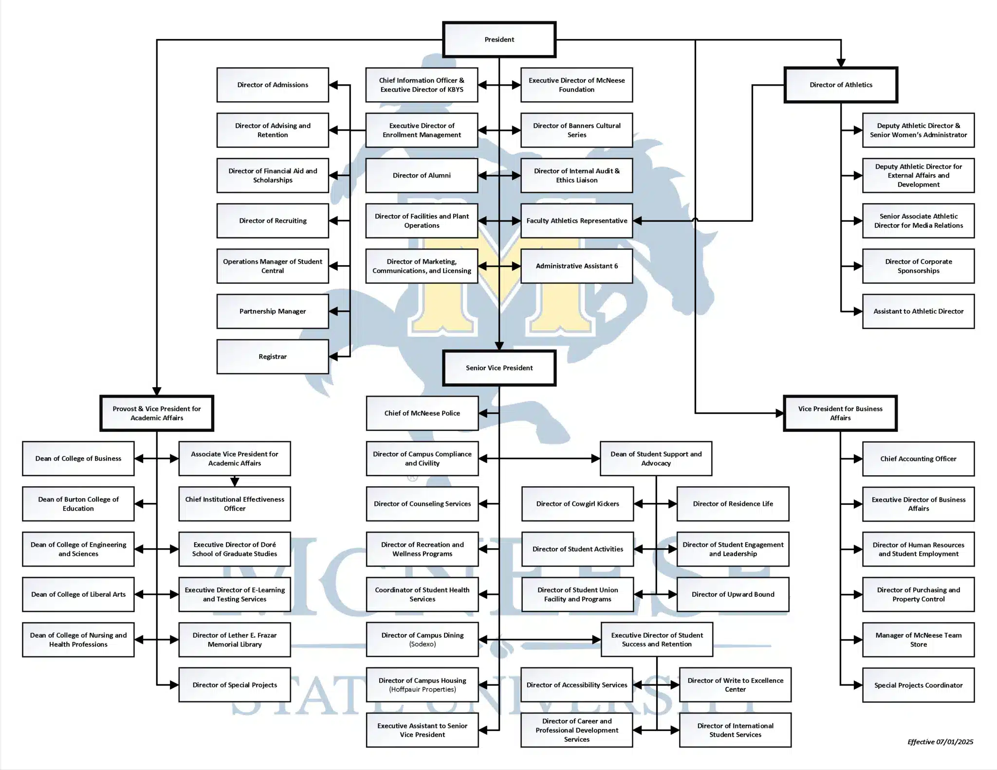 Organizational chart of a university's administrative structure with roles under President, Vice Presidents, and Directors.