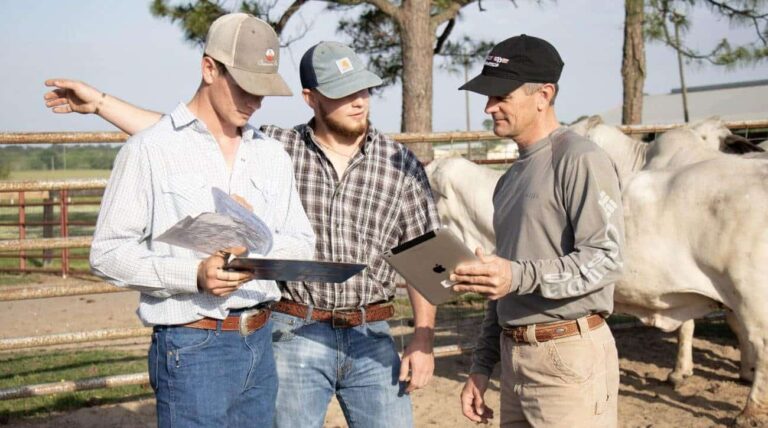 Agricultural Sciences