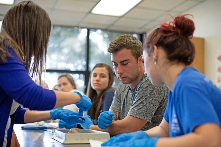 Biology Education Grades 6-12